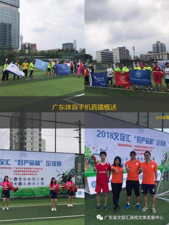 广东体育手机直播概述
